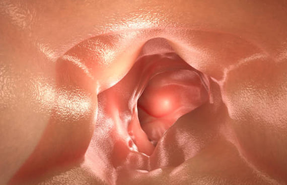 Precio endoscopia digestiva